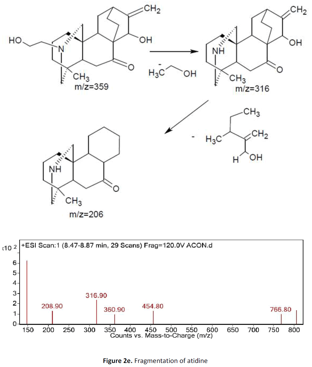 ethnomedicine-fragmentation-atidine