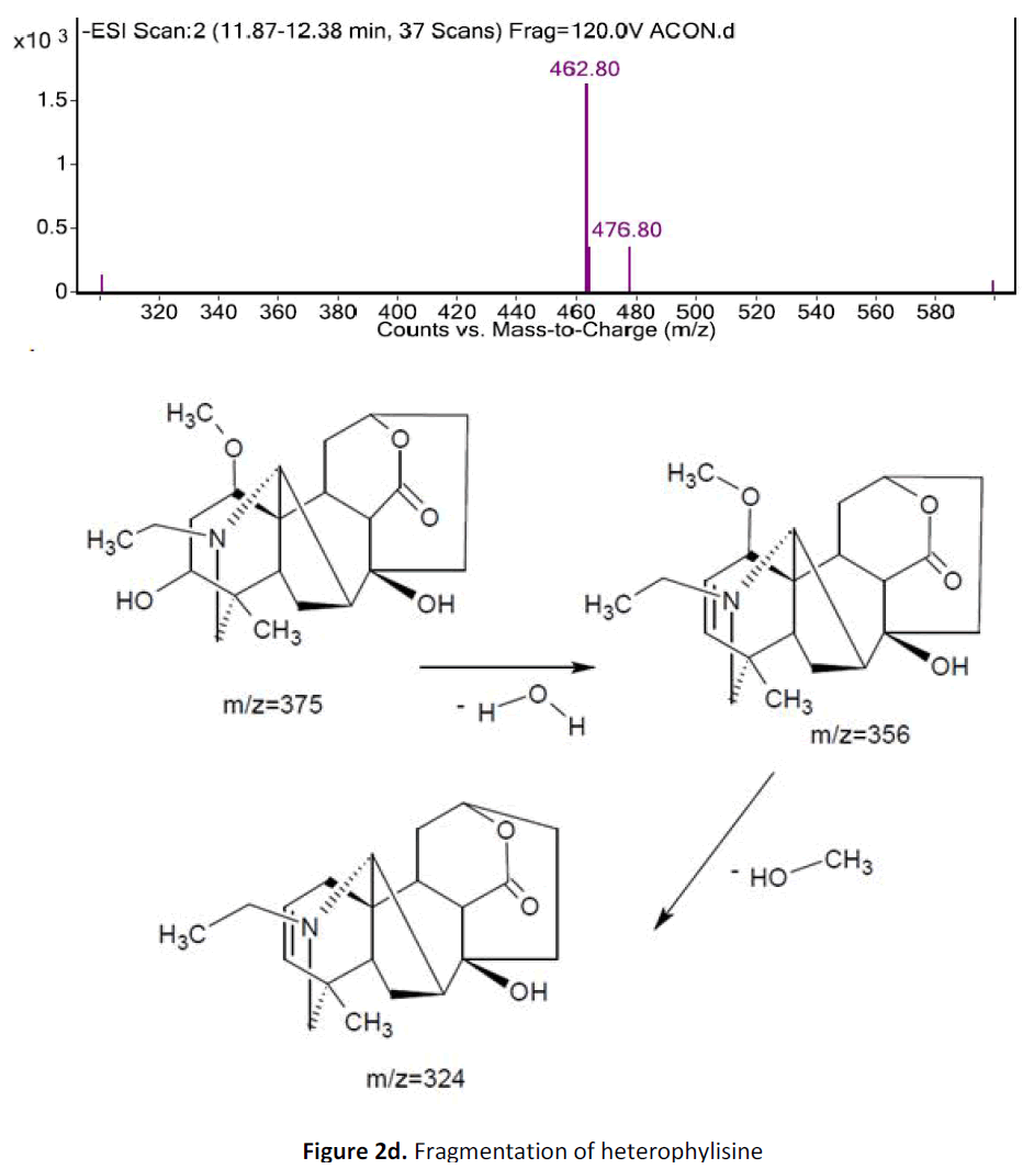 ethnomedicine-fragmentation-heterophylisine