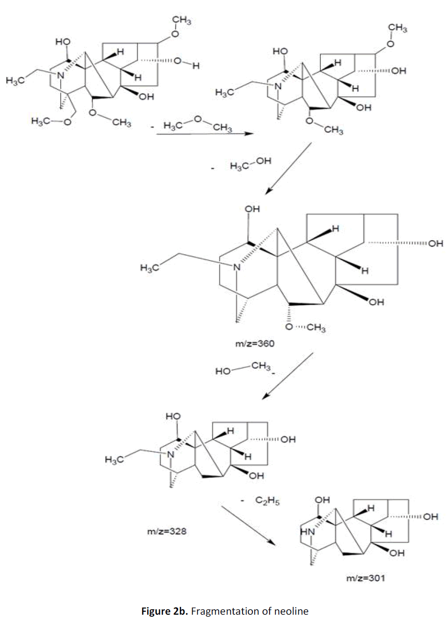 ethnomedicine-fragmentation-neoline