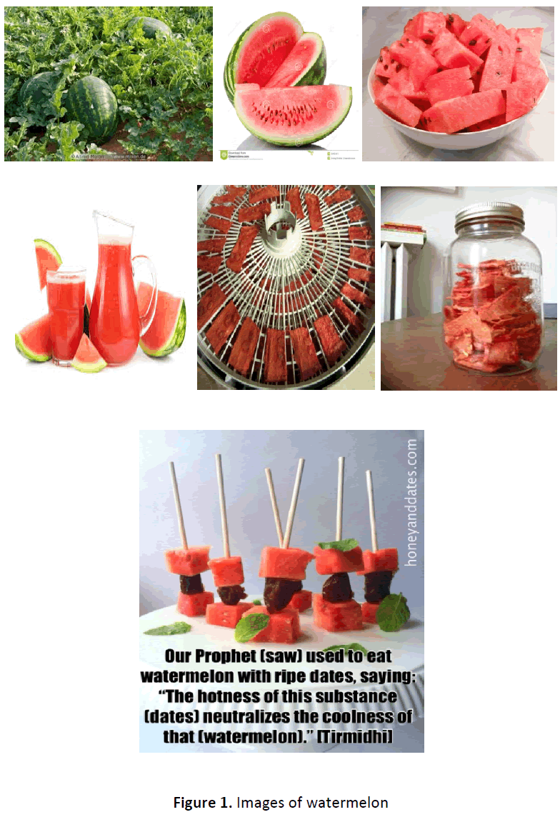 ethnomedicine-images-watermelon