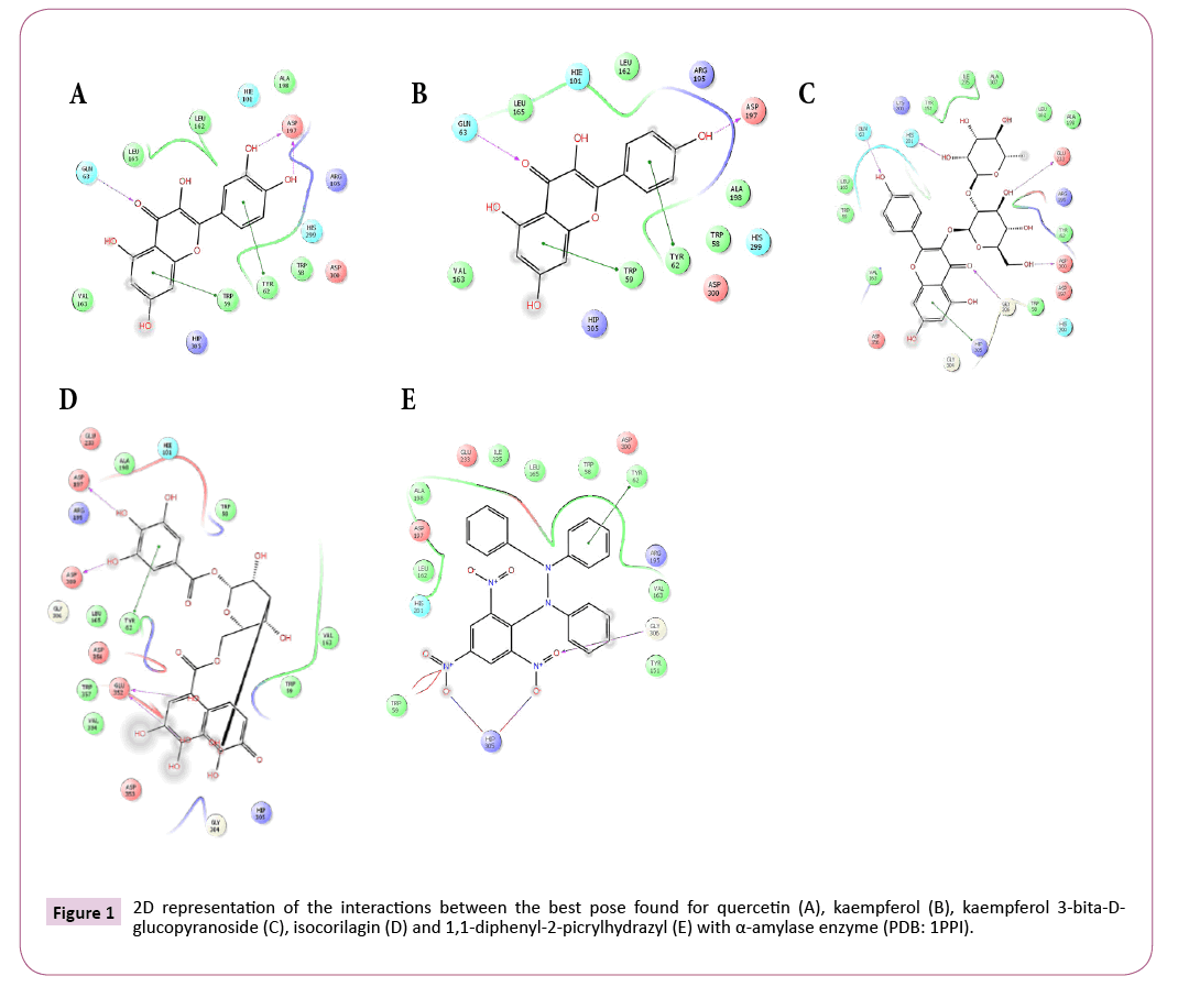 ethnomedicine-interactions