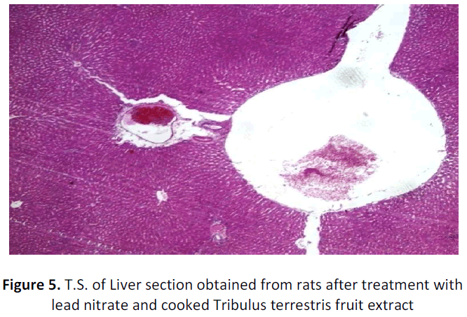 ethnomedicine-liver-nitrate-cooked