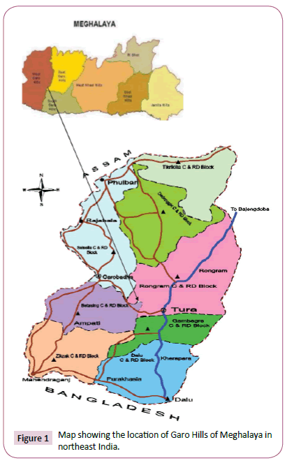 ethnomedicine-northeast