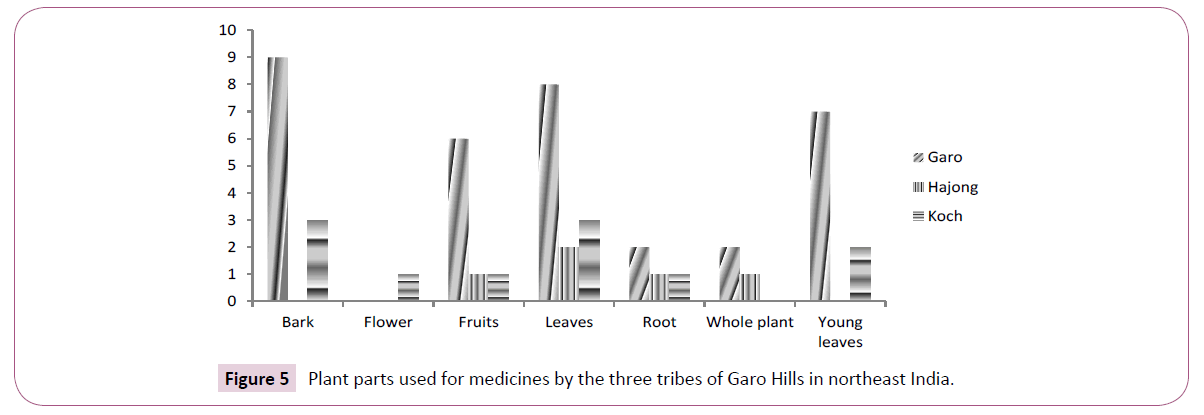 ethnomedicine-parts