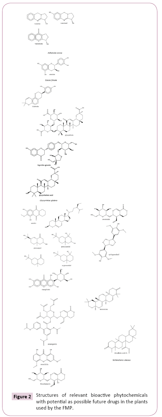 ethnomedicine-phytochemicals