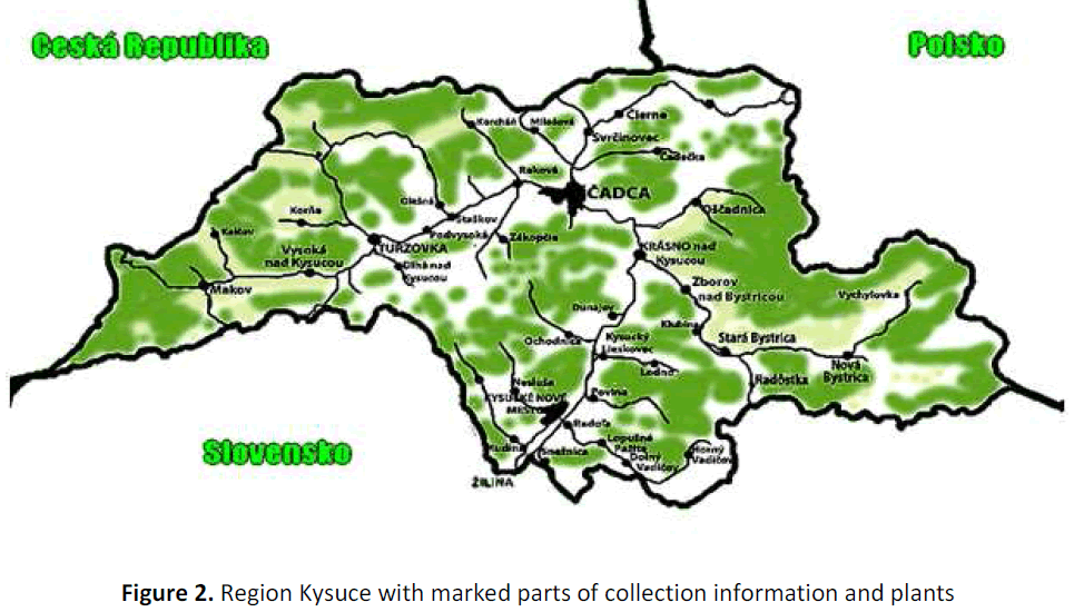 ethnomedicine-region-kysuce-marked