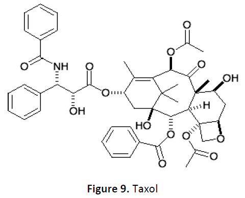 ethnomedicine-taxol