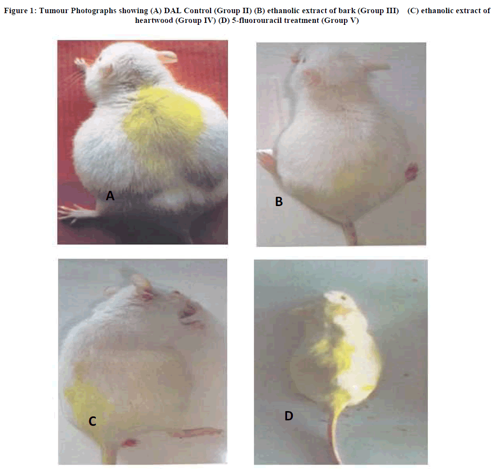 Anticarcinogenic Effects Of Nothapodytes Nimmoniana Against Daltonaƒa A A A A S Lymphoma Ascites Tumor Model Insight Medical Publishing