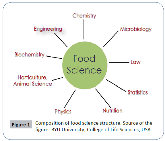 What Is Food Science, And Why Is Food Science Important?