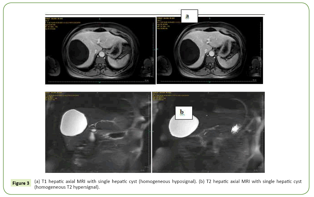 general-surgery-reports-homogeneous