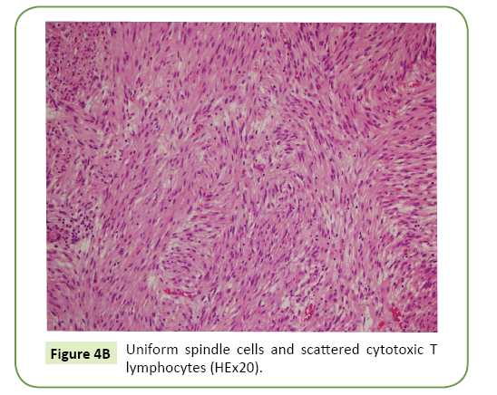 general-surgery-reports-scattered