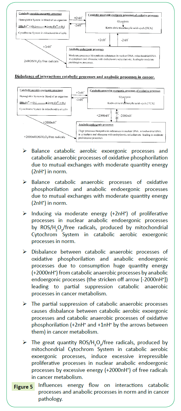 genetic-disorders-energy-flow