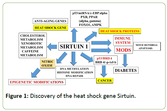 genetic-disorders-heat-shock