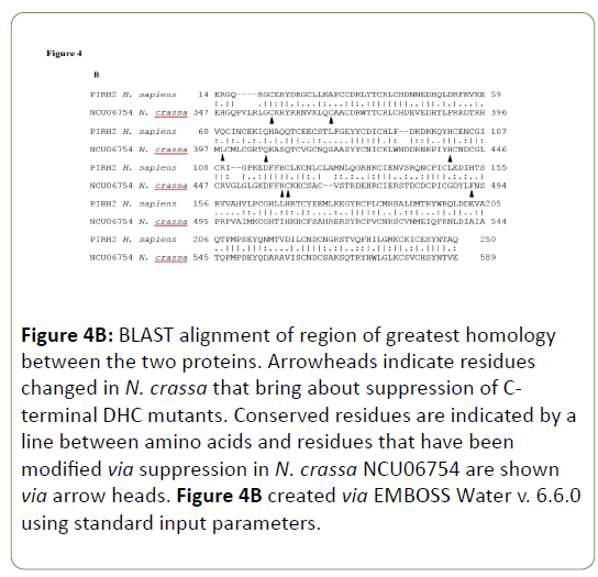 genetics-molecular-BLAST