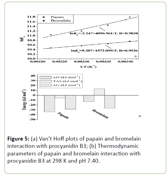 genetics-molecular-Thermodynamic