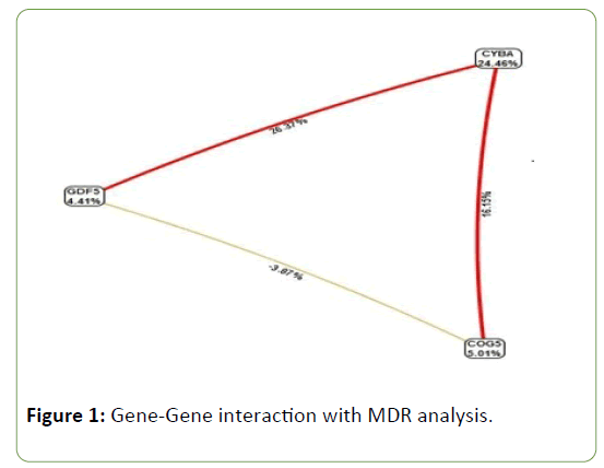 genetics-molecular-biology-interaction