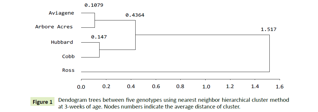 genomics-gene-study-hierarchical-cluster