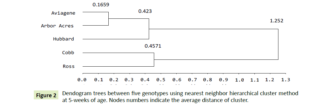 genomics-gene-study-neighbor-hierarchical