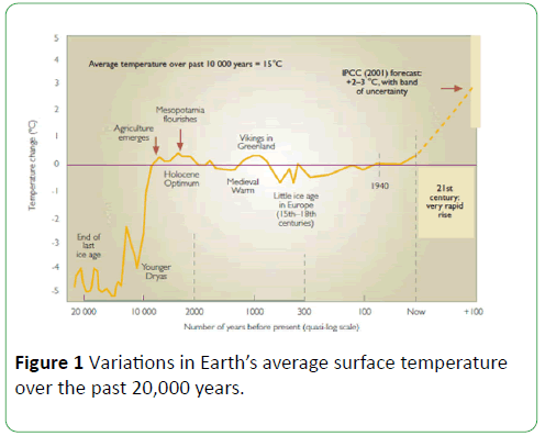 global-environment-health-safety-average-surface