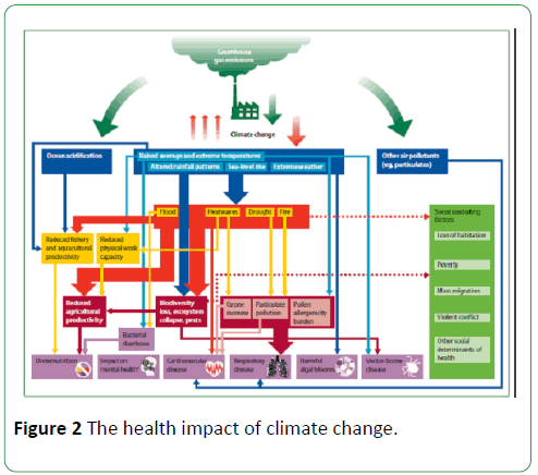 global-environment-health-safety-health-impact