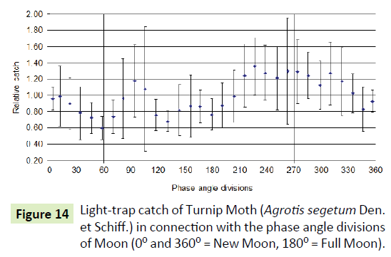 global-journal-of-research-and-review-catch-turnip-moth