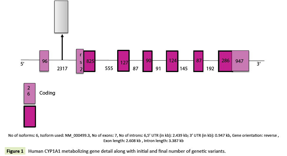 global-journal-of-research-and-review-metabolizing