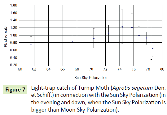 global-journal-of-research-and-review-turnip-moth