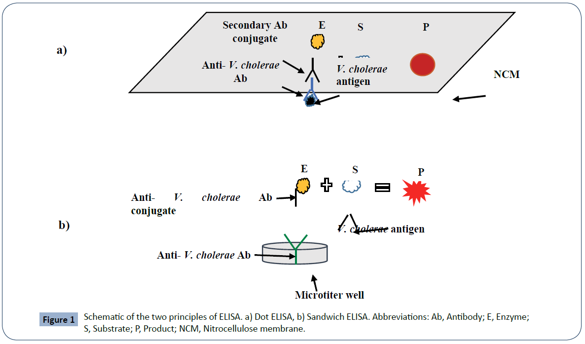 health-medical-economics-Schematic