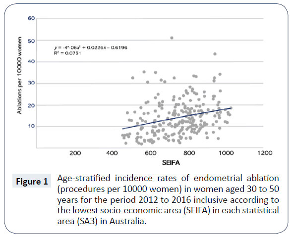 health-medical-economics-endometrial-ablation