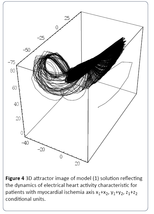 heart-and-cardiovascular-research-attractor