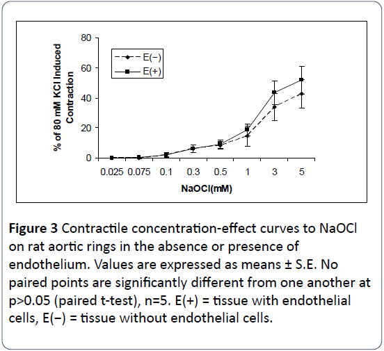 heart-cardiovascular-research-contractile-tissue-endothelial