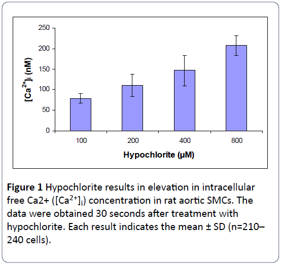 heart-cardiovascular-research-hypochlorite-intracellular-aortic