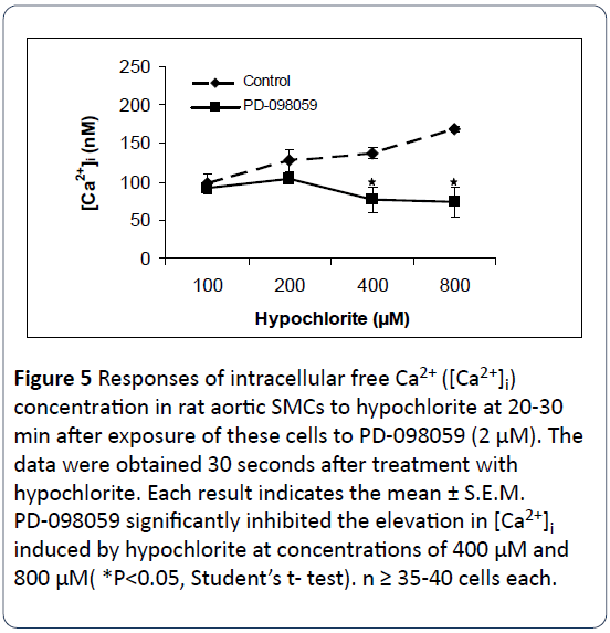 heart-cardiovascular-research-intracellular-aortic-hypochlorite