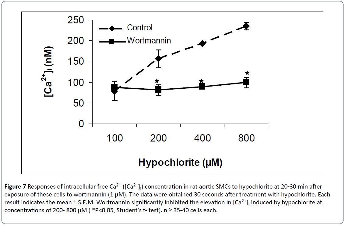 heart-cardiovascular-research-intracellular-aortic-hypochlorite