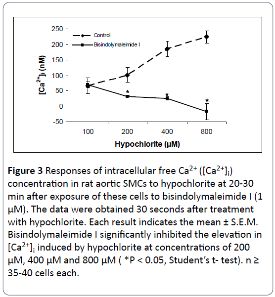 heart-cardiovascular-research-intracellular-hypochlorite-bisindolymaleimide