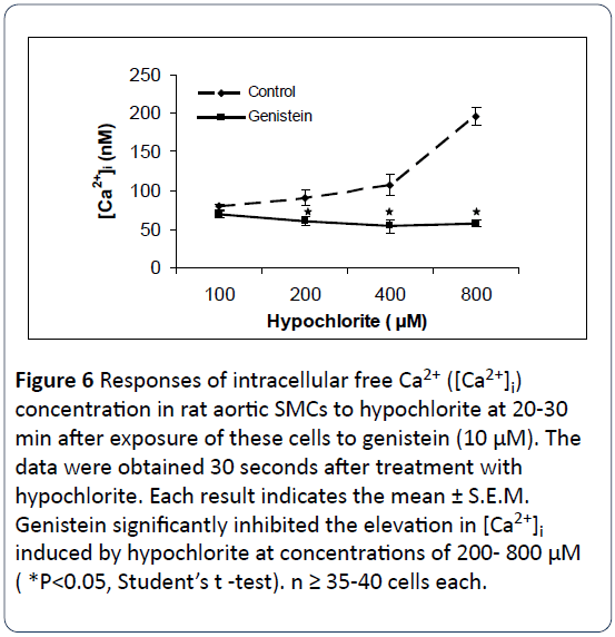 heart-cardiovascular-research-intracellular-hypochlorite-genistein