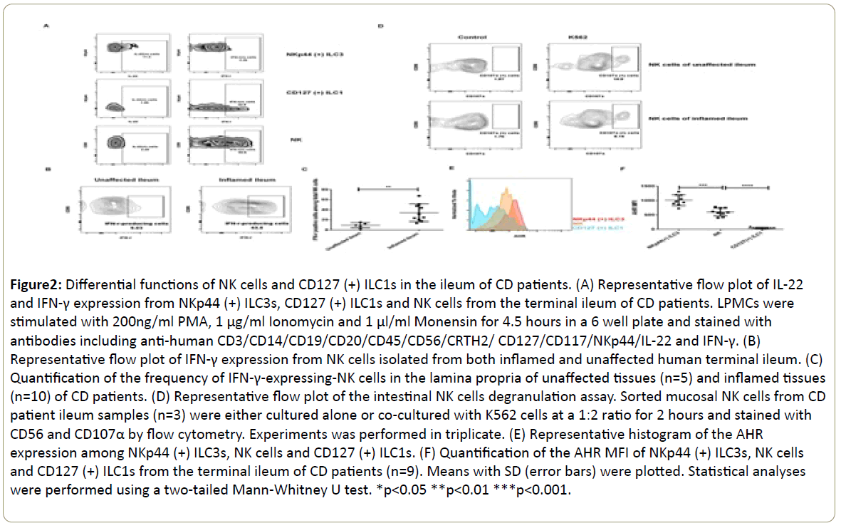 immunology-immunotherapy-unaffected-human-terminal