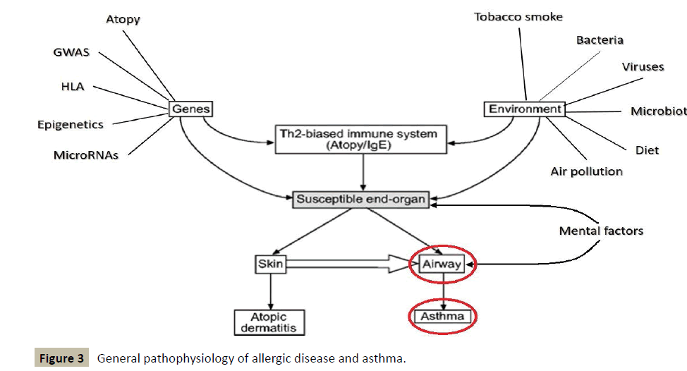 immunology-microbiology-allergic-disease