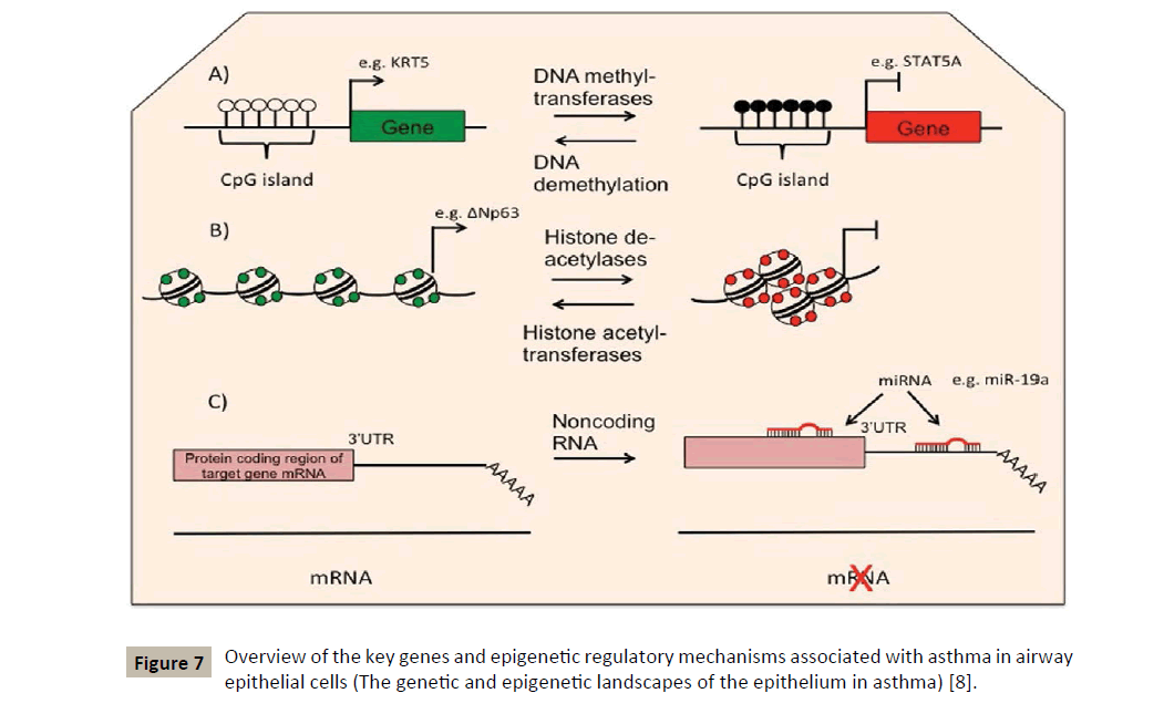 immunology-microbiology-regulatory-mechanisms