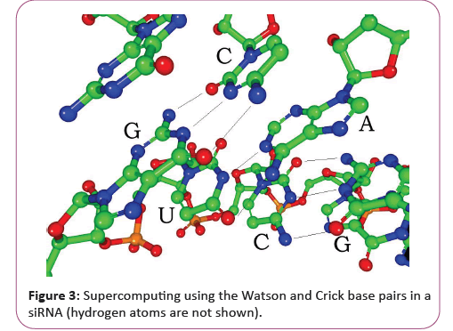 information-technology-crick