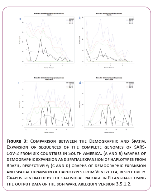 information-technology-demographic