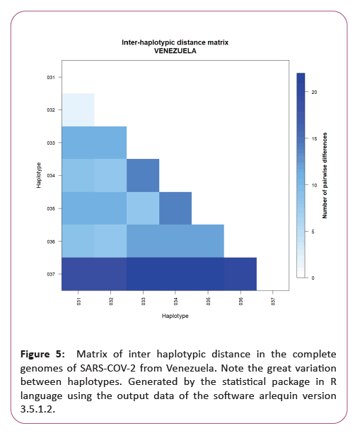 information-technology-haplotypic