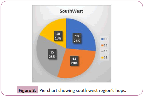 information-technology-south