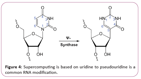 information-technology-uridine