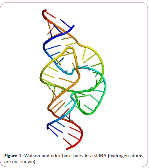 information-technology-watson