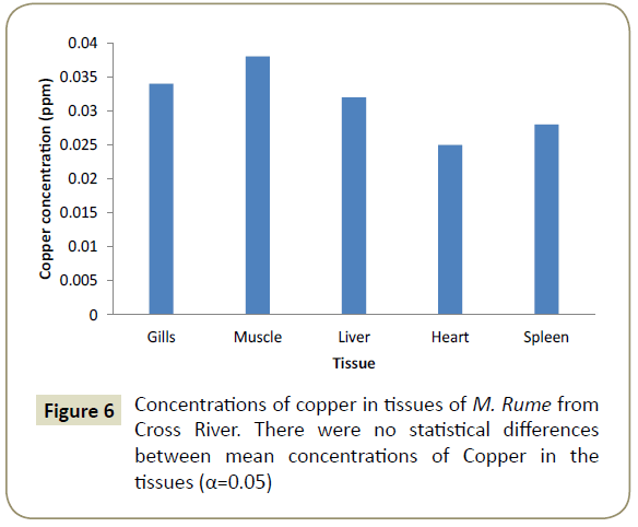 insights-aquaculture-biotechnology-Concentrations-copper