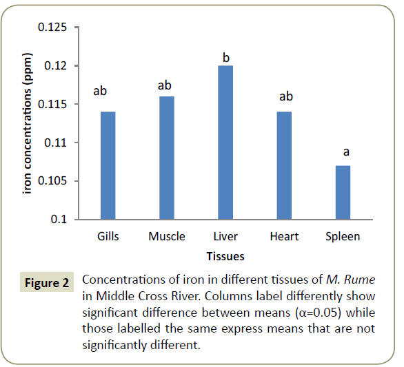 insights-aquaculture-biotechnology-different-tissues