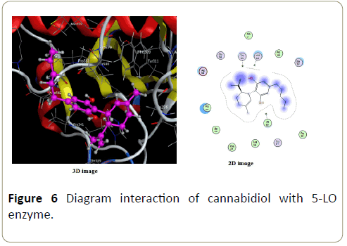 insights-enzyme-research-Diagram