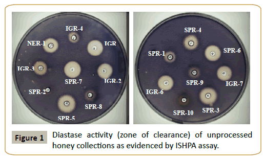 insights-enzyme-research-Diastase-activity