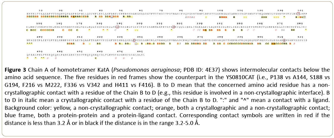 insights-enzyme-research-Pseudomonas-aeruginosa